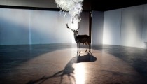 On|Off Exhibit